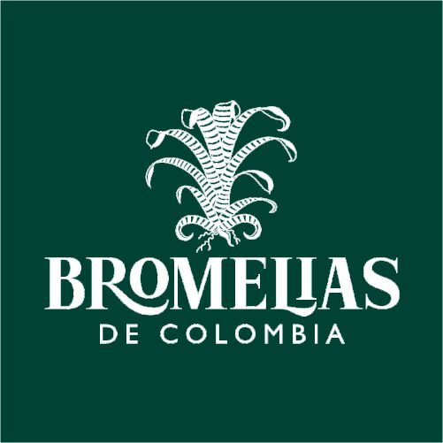 Bromelias de Colombia