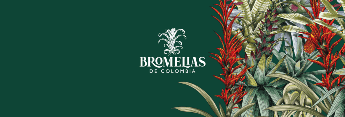 Bromelias de Colombia